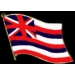 HAWAII PIN STATE FLAG PIN